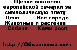 Щенки восточно европейской овчарки за символическую плату › Цена ­ 250 - Все города Животные и растения » Собаки   . Коми респ.